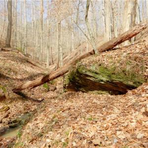 Photo #2 of Seven Island, Danbury, NC 20.8 acres