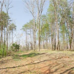 Photo #16 of Seven Island, Danbury, NC 20.8 acres