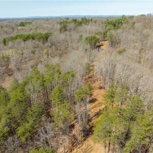 Photo #22 of Seven Island, Danbury, NC 20.8 acres