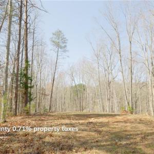 Photo #7 of Seven Island, Danbury, NC 20.8 acres