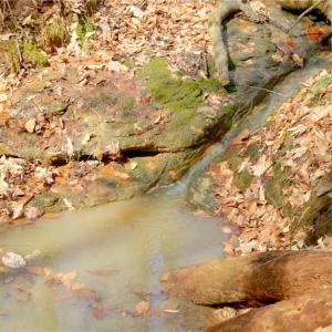 Photo #3 of Seven Island, Danbury, NC 20.8 acres