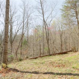 Photo #1 of Seven Island, Danbury, NC 20.8 acres