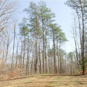 Photo #5 of Seven Island, Danbury, NC 20.8 acres