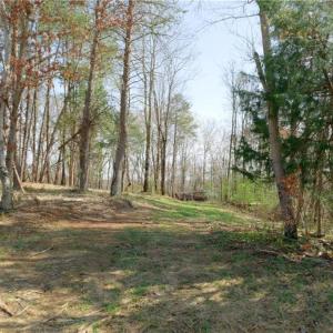 Photo #9 of Seven Island, Danbury, NC 20.8 acres