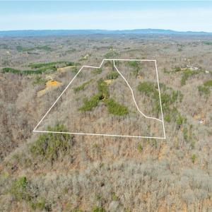 Photo #24 of Seven Island, Danbury, NC 20.8 acres