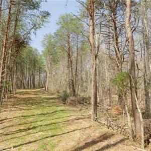 Photo #11 of Seven Island, Danbury, NC 20.8 acres