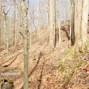 Photo #4 of Seven Island, Danbury, NC 20.8 acres