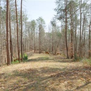 Photo #2 of Seven Island, Danbury, NC 20.8 acres