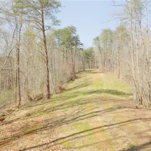 Photo #10 of Seven Island, Danbury, NC 20.8 acres