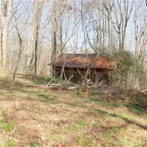 Photo #18 of Seven Island, Danbury, NC 20.8 acres