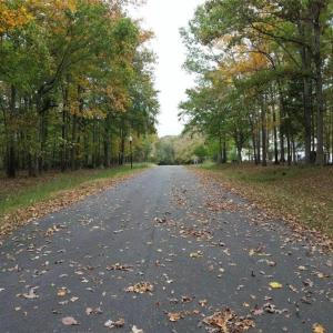 Photo #1 of 2610 Mackintosh Lake, Whitsett, NC 7.0 acres