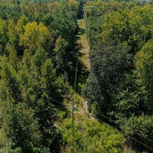 Photo #13 of 120 Lindsey, Eagle Springs, NC 24.0 acres