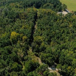 Photo #2 of 120 Lindsey, Eagle Springs, NC 24.0 acres