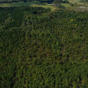 Photo #6 of 120 Lindsey, Eagle Springs, NC 24.0 acres