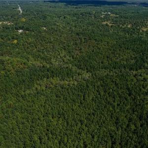 Photo #5 of 120 Lindsey, Eagle Springs, NC 24.0 acres