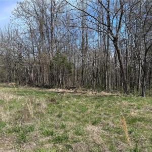 Photo #5 of Bootleg Alley, Mocksville, NC 32.9 acres