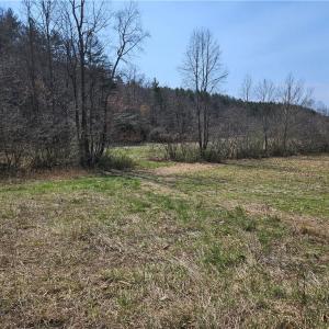 Photo #16 of 1827 Willis Gap, Ararat, VA 104.3 acres