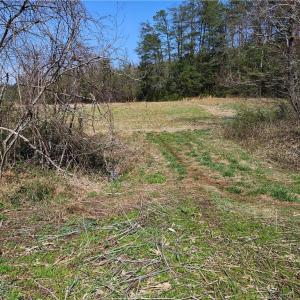 Photo #11 of 1827 Willis Gap, Ararat, VA 104.3 acres