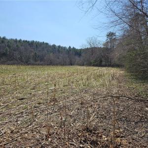 Photo #13 of 1827 Willis Gap, Ararat, VA 104.3 acres