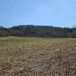 Photo #12 of 1827 Willis Gap, Ararat, VA 104.3 acres