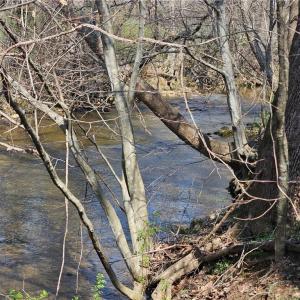 Photo #3 of 1827 Willis Gap, Ararat, VA 104.3 acres
