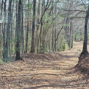 Photo #5 of 1827 Willis Gap, Ararat, VA 104.3 acres