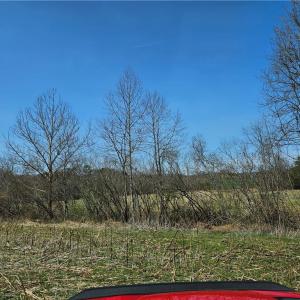 Photo #9 of 1827 Willis Gap, Ararat, VA 104.3 acres