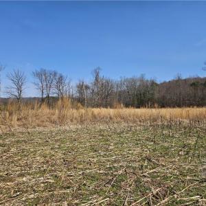 Photo #10 of 1827 Willis Gap, Ararat, VA 104.3 acres