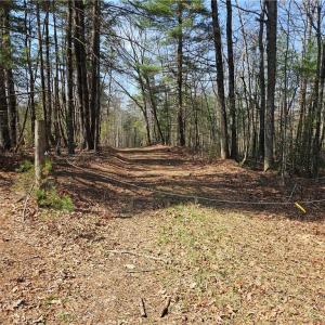 Photo #4 of 1827 Willis Gap, Ararat, VA 104.3 acres