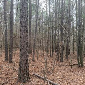 Photo #7 of Lot 14 Woods, Seagrove, NC 5.9 acres