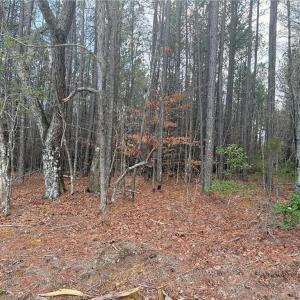 Photo #4 of Lot 14 Woods, Seagrove, NC 5.9 acres