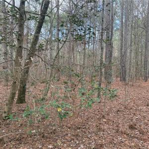 Photo #6 of Lot 14 Woods, Seagrove, NC 5.9 acres
