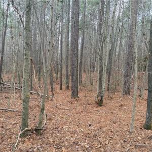 Photo #5 of Lot 14 Woods, Seagrove, NC 5.9 acres