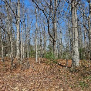 Photo #6 of Willas Gap, Ararat, VA 44.0 acres