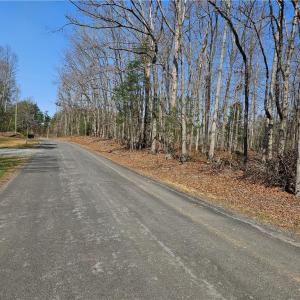 Photo #4 of Willas Gap, Ararat, VA 44.0 acres