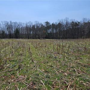 Photo #2 of Willas Gap, Ararat, VA 44.0 acres