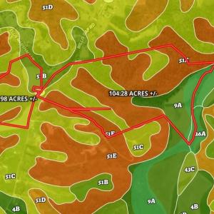 Photo #13 of Willas Gap, Ararat, VA 44.0 acres