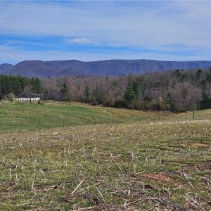Photo #1 of Willas Gap, Ararat, VA 44.0 acres