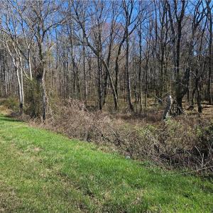 Photo #4 of Willas Gap, Ararat, VA 44.0 acres