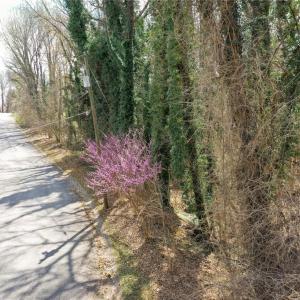 Photo #17 of Tory Hill, Greensboro, NC 3.1 acres