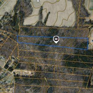 Photo #23 of Tilden Nursery, Lexington, NC 11.9 acres