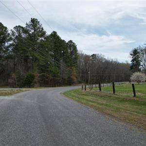 Photo #27 of Tilden Nursery, Lexington, NC 11.9 acres