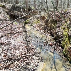 Photo #6 of Tilden Nursery, Lexington, NC 11.9 acres