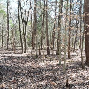 Photo #17 of Tilden Nursery, Lexington, NC 11.9 acres