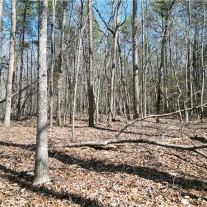 Photo #16 of Tilden Nursery, Lexington, NC 11.9 acres