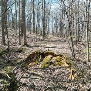 Photo #12 of Tilden Nursery, Lexington, NC 11.9 acres