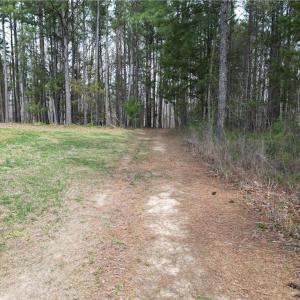 Photo #22 of Tilden Nursery, Lexington, NC 11.9 acres