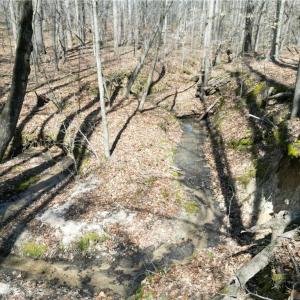 Photo #7 of Tilden Nursery, Lexington, NC 11.9 acres