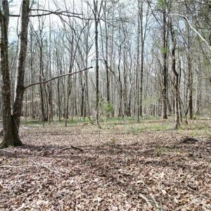 Photo #3 of Tilden Nursery, Lexington, NC 11.9 acres