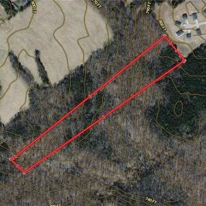 Photo #1 of Tilden Nursery, Lexington, NC 11.9 acres